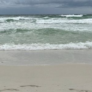 Meet your Posher, Chelsea